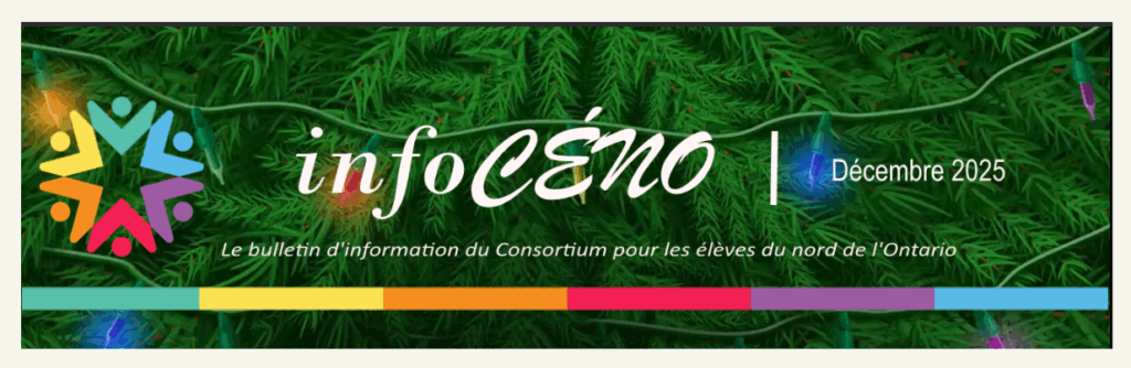 bannière infoCÉNO avec arbres de Noël et lumières de Noël